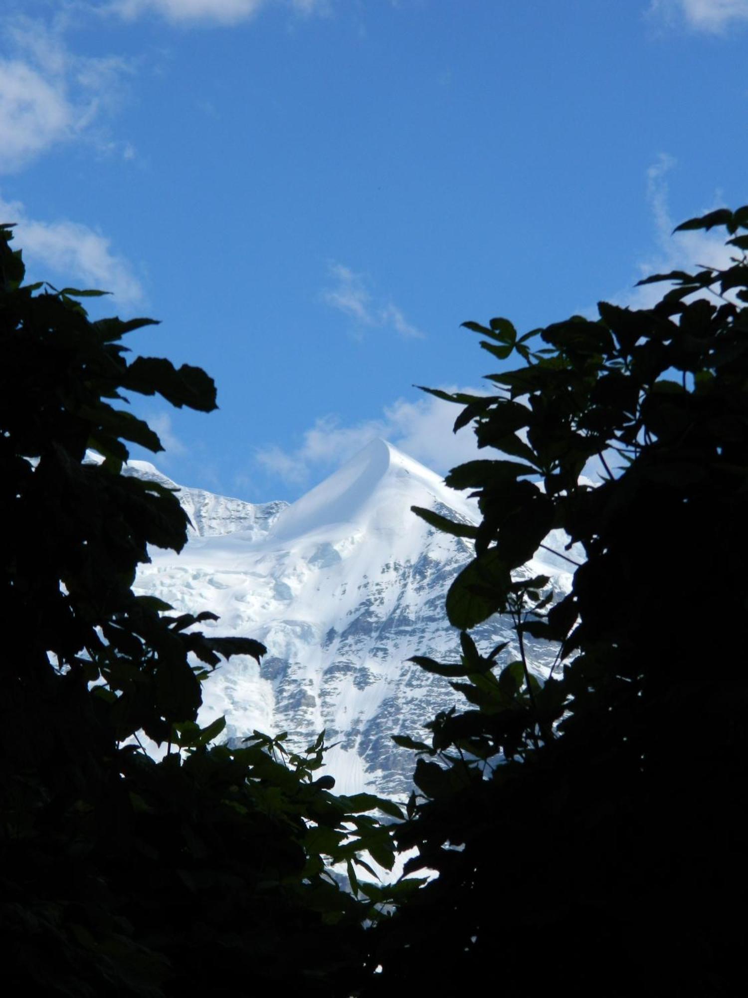 Historic Hotel Falken Wengen Dış mekan fotoğraf