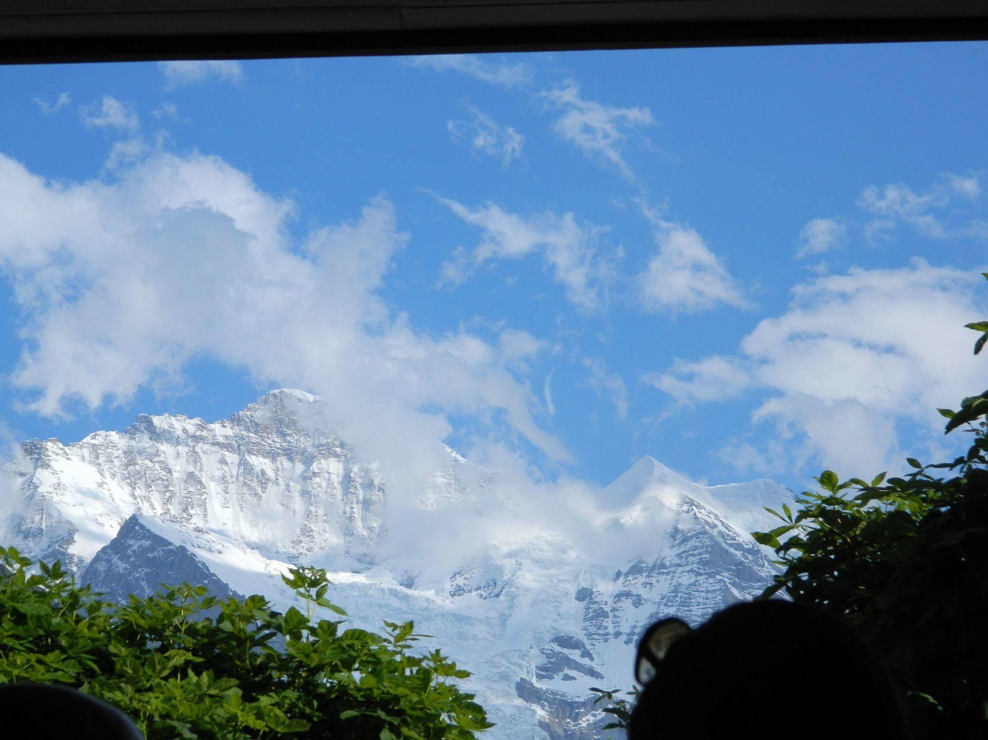 Historic Hotel Falken Wengen Dış mekan fotoğraf