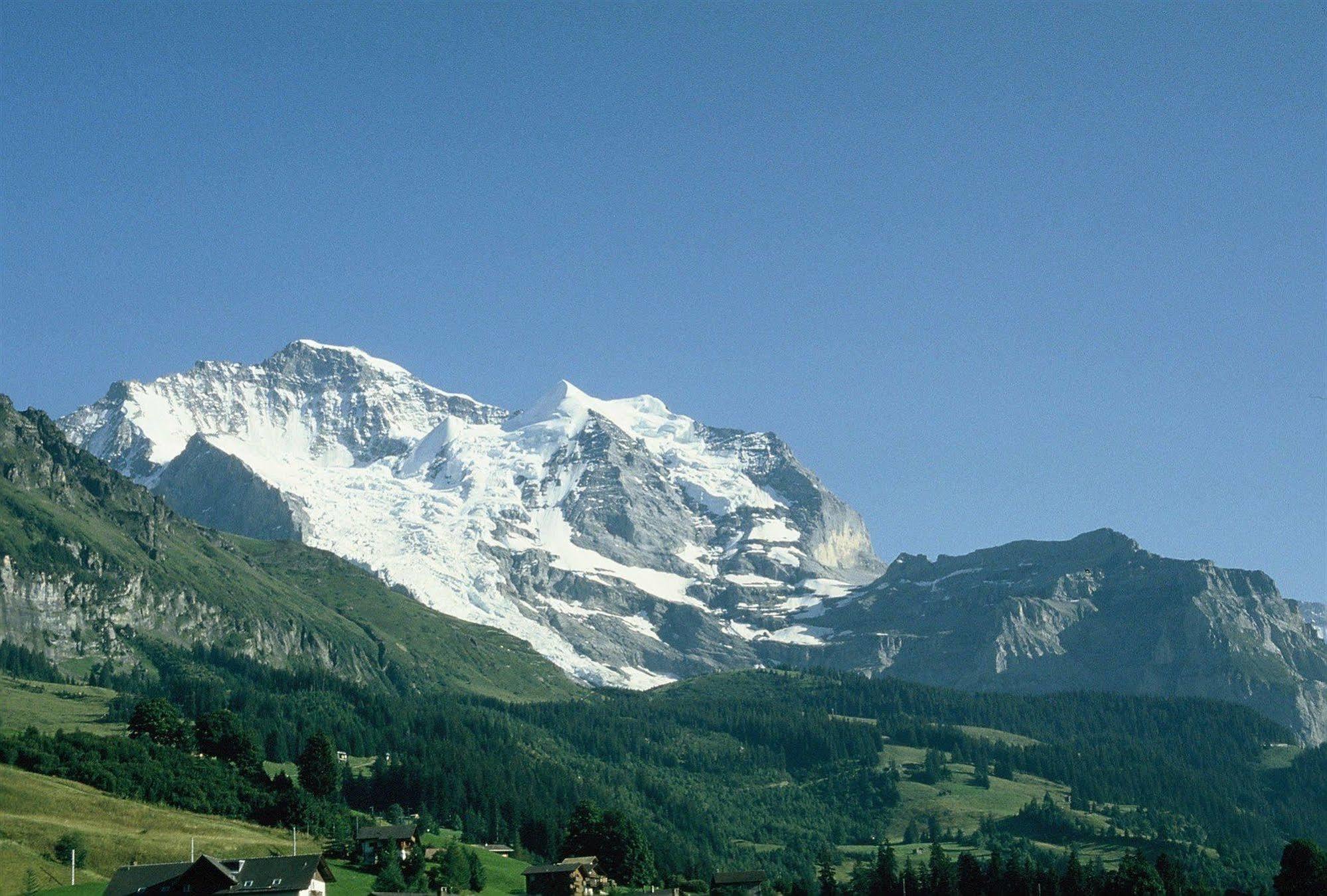 Historic Hotel Falken Wengen Dış mekan fotoğraf