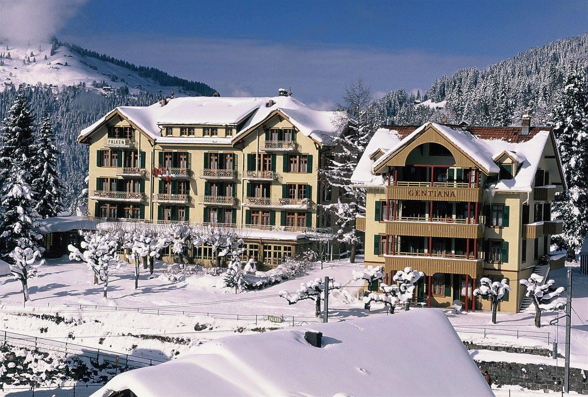 Historic Hotel Falken Wengen Dış mekan fotoğraf